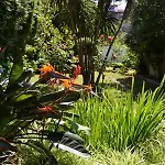 מלון Amandi