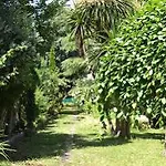 Amandi
